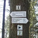 Kirschbaum *