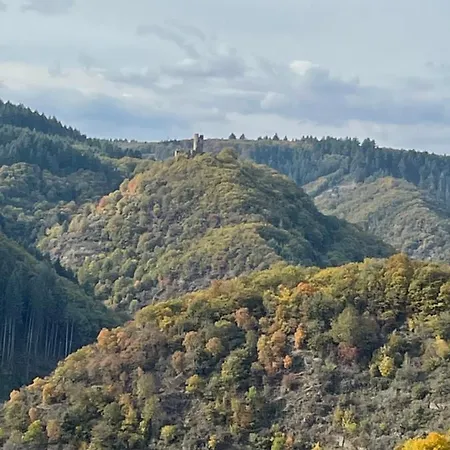 Kirschbaum *