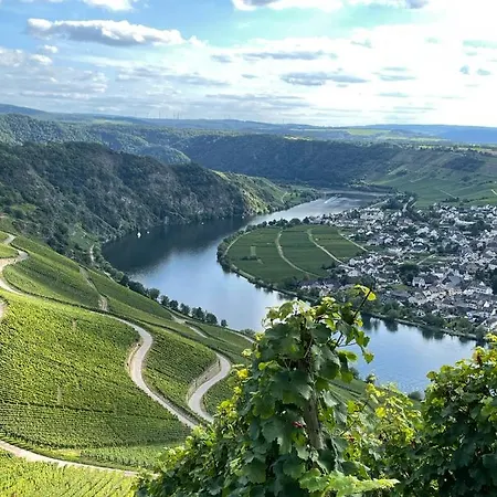 Kirschbaum *