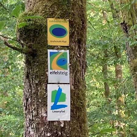 Kirschbaum Eckfeld