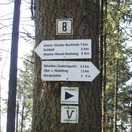 Kirschbaum *