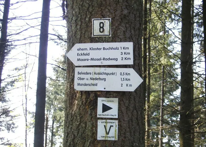 Kirschbaum *