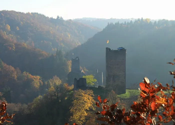 Kirschbaum
